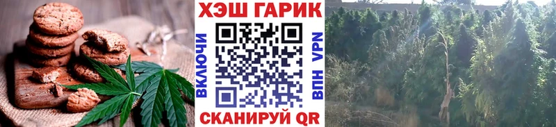 Canna-Cookies конопля  Купить  Заозёрск 