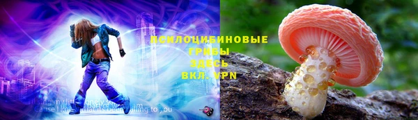 2c-b Зеленодольск