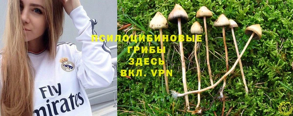 первитин Зерноград
